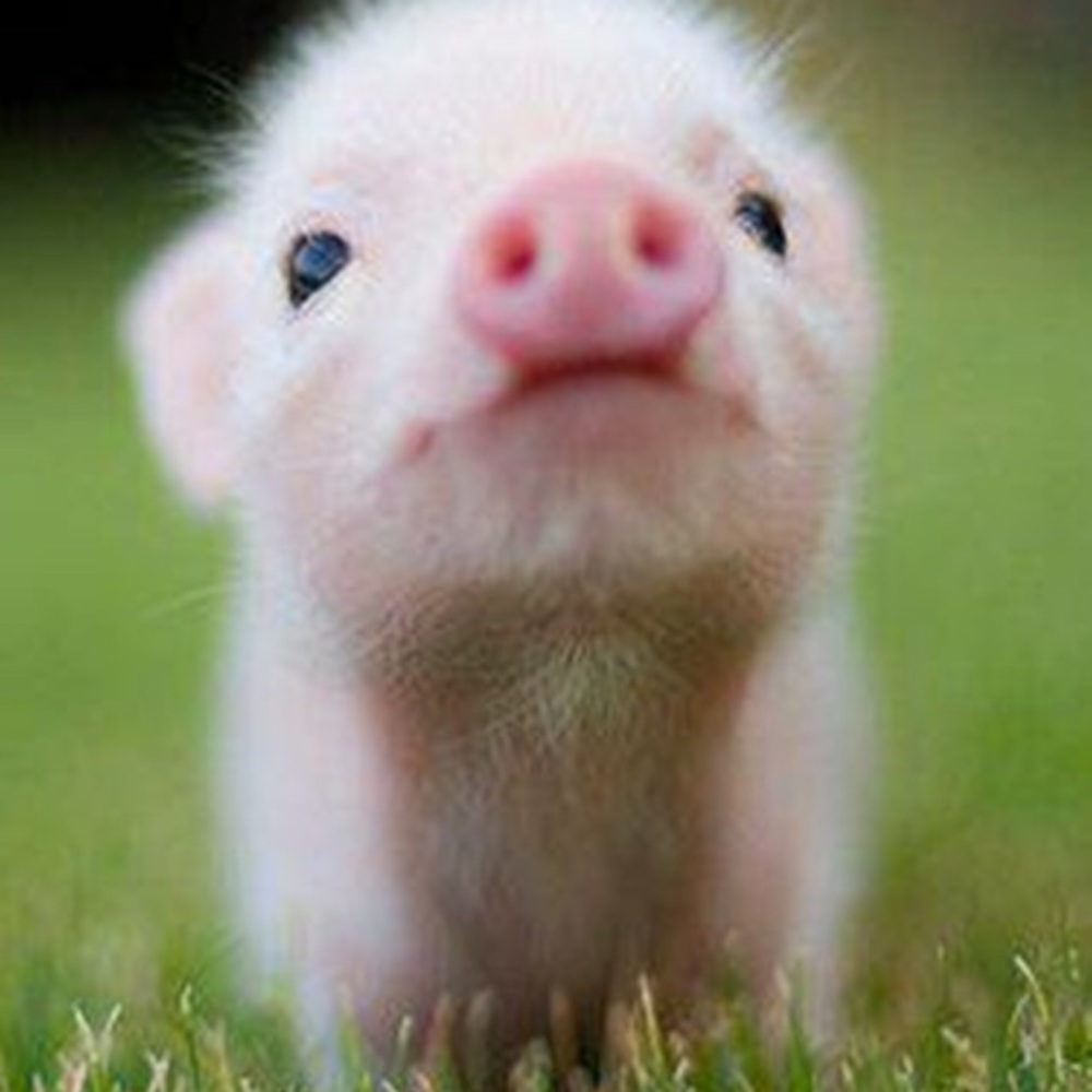 Meet your Posher, Kristie